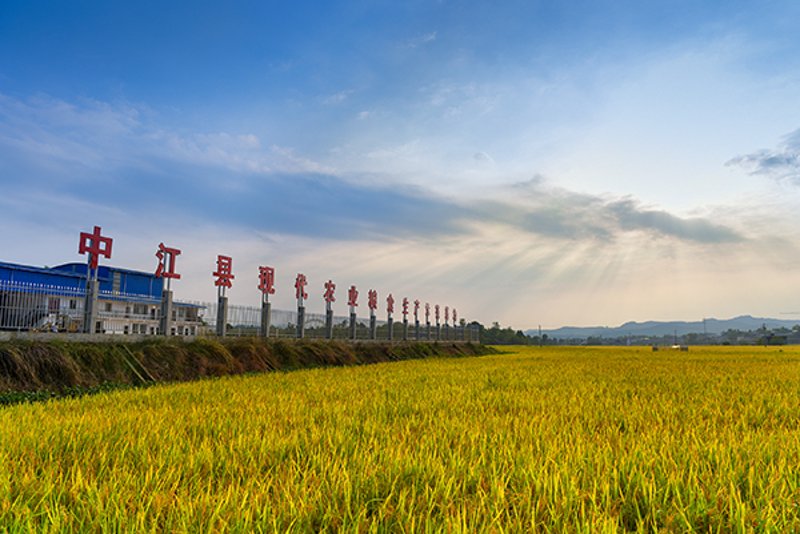 解读中江信息公开网：用故事讲述政务透明