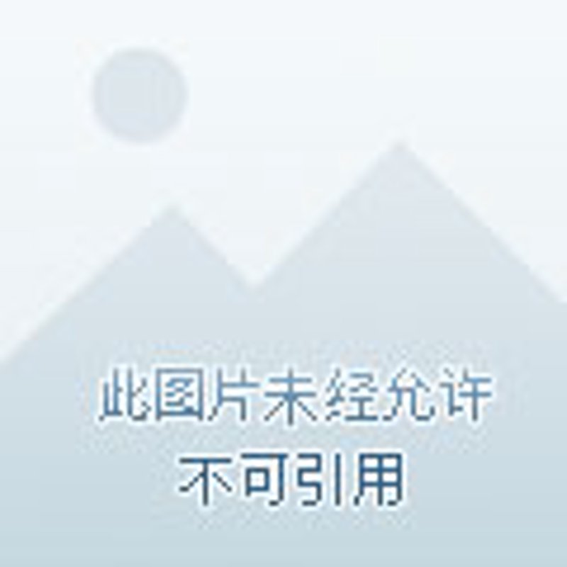 中江贴吧：构建本地交流平台